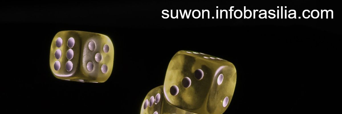 suwon.infobrasilia.com